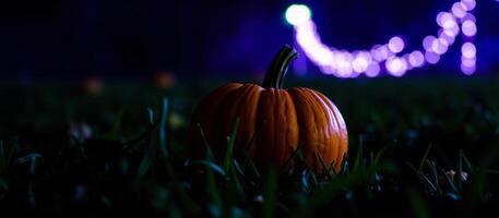 lone pumpkin glows the grass on a dark night. photo