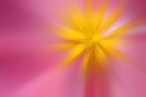 A pink and yellow abstract background with a bright star photo