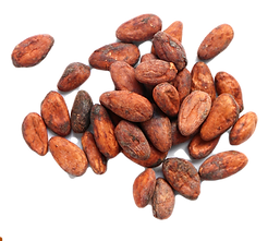 fine flavor cacao beans