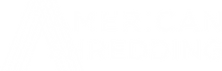 American Shredding logo