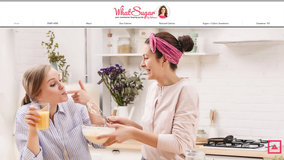 The website homepage for WhatSugar.com’s successful blog. It shows a mother and daughter baking together. 