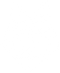 Wolf Logo_edited.png