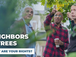 Neighbors and Trees – What are Your Rights?