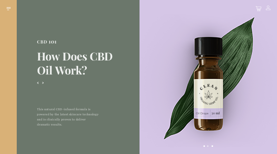 Blog Article on CBD online store with title: How Does CBD Oil Work?