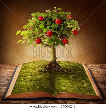 Tree of knowledge growing out of book