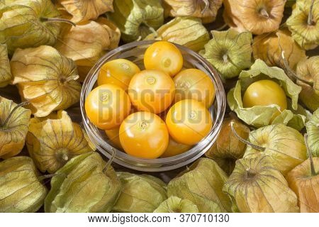 Golden Berry, Tropical Fruit Uchuva. Top View - Physalis Peruviana