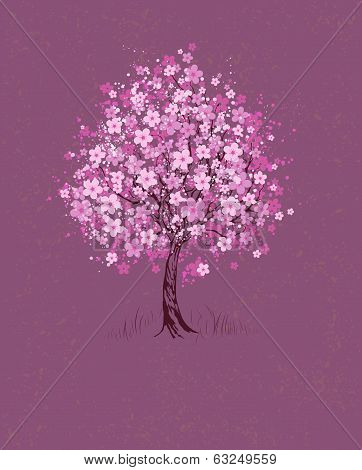 Cherry On Pink Background