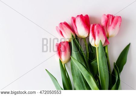 Pink Tulip Flowers Bouquet On White Background. Flat Lay, Top View. Selective Focus. Shallow Depth O