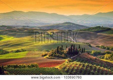 Tuscany landscape at sunrise. Typical for the region tuscan farm house, hills, vineyard. Italy