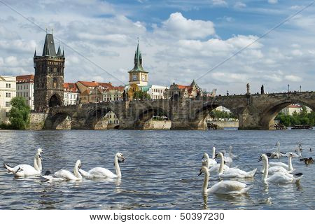 View of the Charles Bridge in Prague, Czech Republic