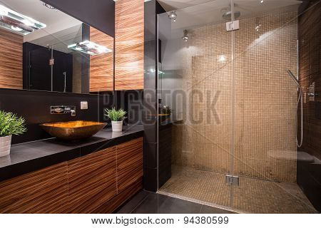 Bathroom With Fancy Shower