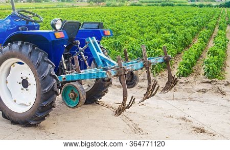 Blue Tractor With A Cultivator Plow In A Paprika Pepper Plantation. Farming, Agriculture. Cultivatio