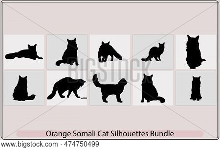 Orange Somali Cat Silhouette,orange Somali Cat Silhouette Bundle,orange Somali Cat Illustration,