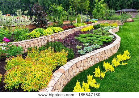 A natural flower landscaping in home garden