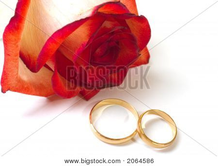 Rose And Two Wedding Rings