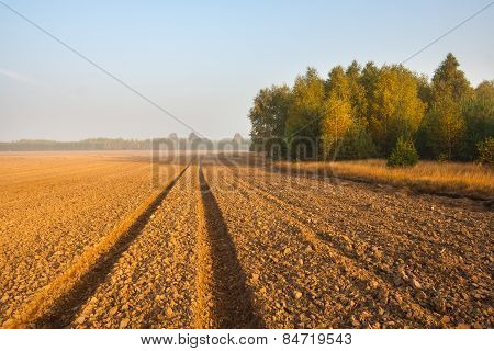 Plowed Field Landscape