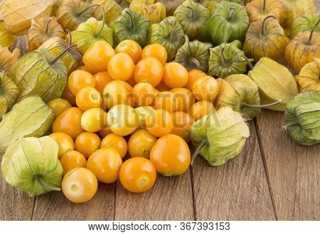 Golden Berry, Tropical Fruit Uchuva - Physalis Peruviana