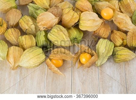 Physalis Peruviana - Golden Berry, Tropical Fruit Uchuva