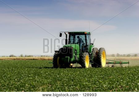 Farmer Plowing The Field