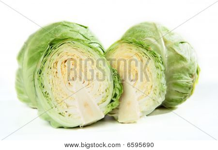 Head Of Cabbage