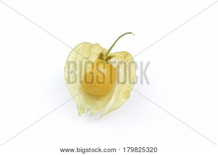 Ground Cherries, cape gooseberry, sweet organic fruit