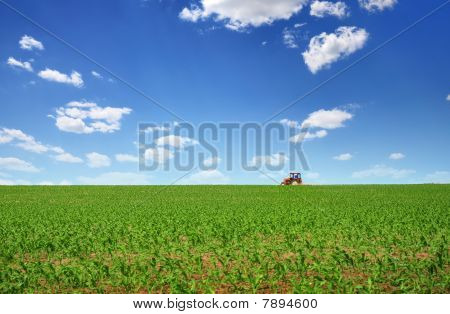 Tractor Cultivating