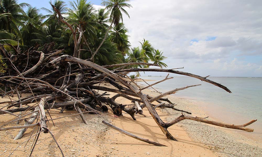 Coast destroyed by Cyclone Pam, Nanumea Island, Tuvalu. Photo: UNDP