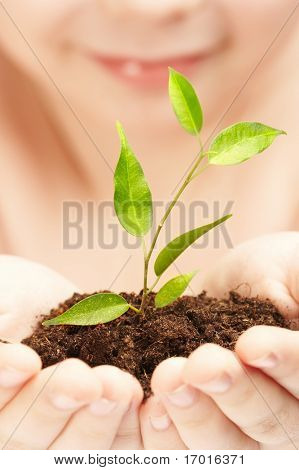 The boy observes cultivation of a young plant.