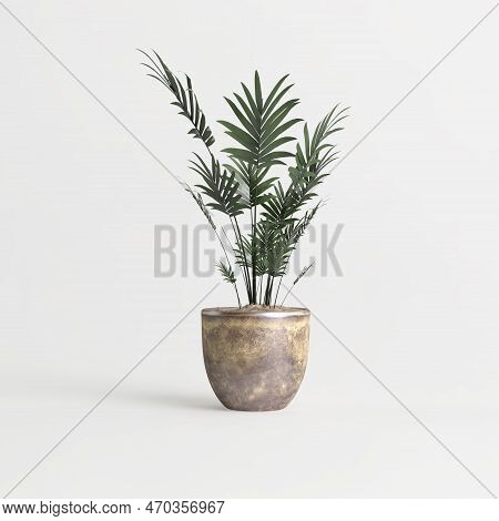 3D Illustration Of Houseplant Isolated On White Background