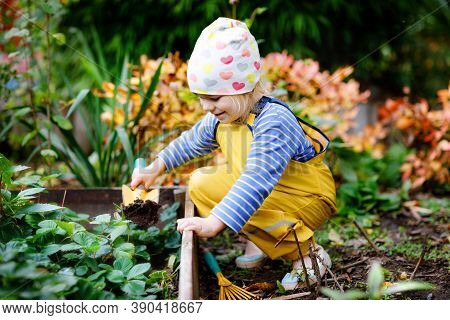 Adorable Little Toddler Girl Working With Shovel In Domestic Garden. Cute Child Learn Gardening, Pla