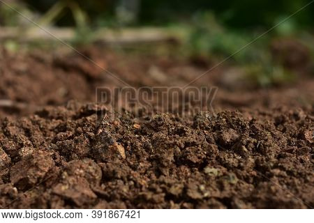 Clean Soil For Cultivation. The Potting Soil Or Peat Is Suitable For Gardening And Is One Of The Fou