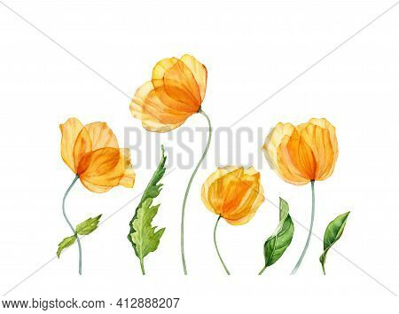 Watercolor Field Flowers. Spring Yellow Flowers With Green Leaves. Floral Hand Drawn Banner. Realist