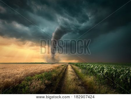 Driving on straight dirt road towards the ominous tornado storm through the cultivated fields of wheat and corn crops.