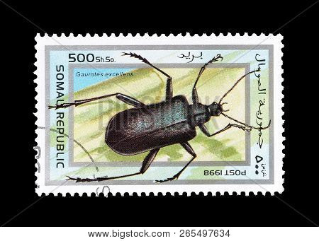 Somali Republic - Circa 1998 : Cancelled Postage Stamp Printed By Somali Republic, That Shows Long H