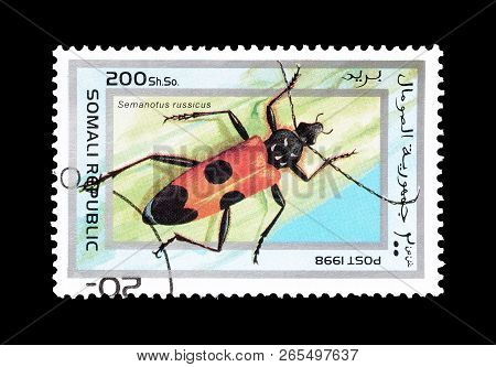 Somali Republic - Circa 1998 : Cancelled Postage Stamp Printed By Somali Republic, That Shows Long H