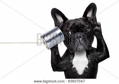 Dog Phone Telpehone