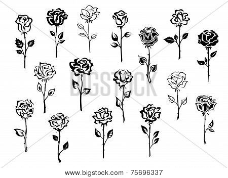 Set of rose icons