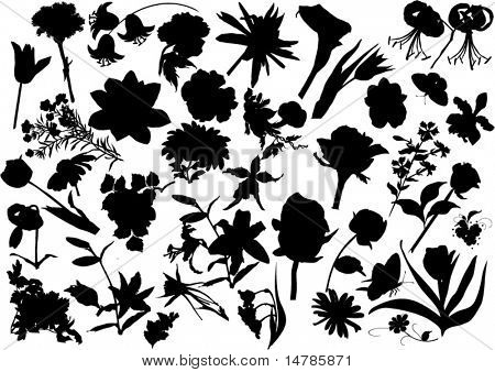 illustration with collection of flowers silhouettes isolated on white background