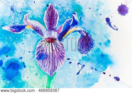 Blue Purple Watercolor Iris Flower With Drops On Blue Background.