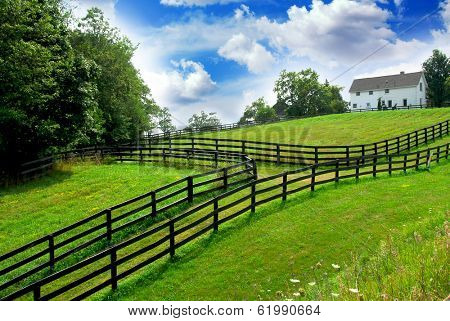 Rural landscape with lush green fields and farm house