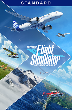 Flight Simulator