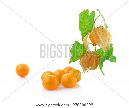 Cape Gooseberry (physalis) Isolated On White Background