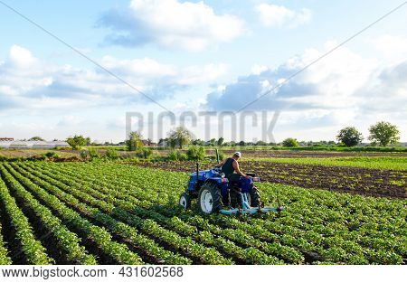 Farmer On A Tractor Cultivates A Potato Plantation. Agroindustry And Agribusiness. Farm Machinery. P