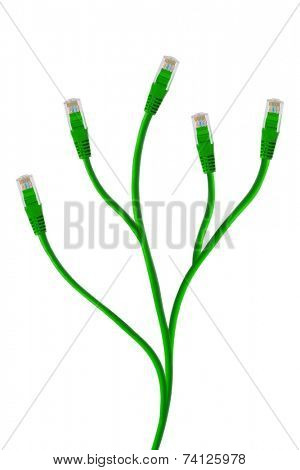 Plant made of computer cable, isolated on white background