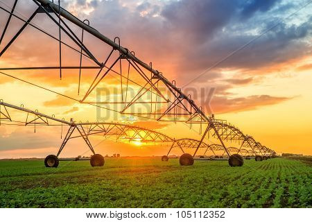 Automated Farming Irrigation System In Sunset