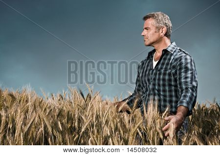 Mature farmer looking with satisfaction at his cultivated field and having care of wheat after a working day, dramatic sky