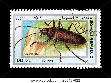 Somali Republic - Circa 1998 : Cancelled Postage Stamp Printed By Somali Republic, That Shows Ergate