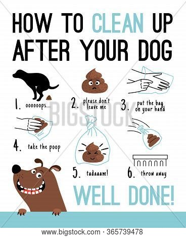 Clean After Your Dog Vector & Photo (Free Trial) | Bigstock