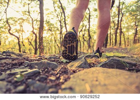 Walking Or Running Legs In Forest, Adventure And Exercising