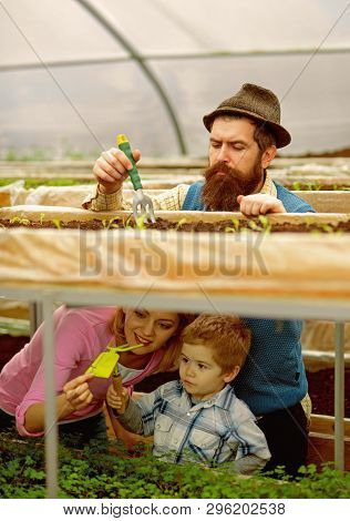 Cultivation. Agricultural Cultivation. Cultivation On Family Farm. Greenhouse Cultivation. Enjoying 